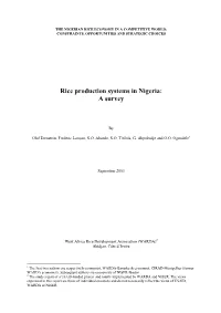 Rice Production Systems in Nigeria: a Survey