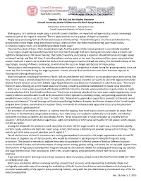 Tapping – It's Not Just for Maples Anymore Cornell University Seeks