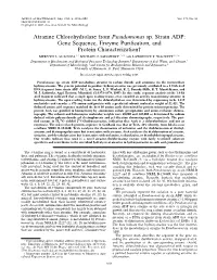 Atrazine Chlorohydrolase from Pseudomonas Sp