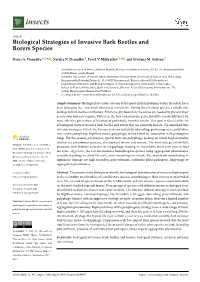 Biological Strategies of Invasive Bark Beetles and Borers Species