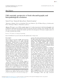Brief Report Uhl's Anomaly: Perspective of Fetal Echocardiography and Histopathological Correlation