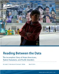 Reading Between the Data the Incomplete Story of Asian Americans, Native Hawaiians, and Pacific Islanders
