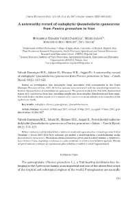 A Noteworthy Record of Endophytic Quambalaria Cyanescens from Punica Granatum in Iran