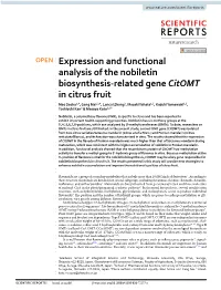 Expression and Functional Analysis of the Nobiletin Biosynthesis-Related