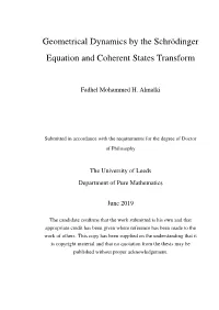 Geometrical Dynamics by the Schr¨Odinger Equation and Coherent