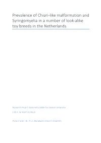 Prevalence of Chiari-Like Malformation and Syringomyelia in a Number of Look-Alike Toy Breeds in the Netherlands