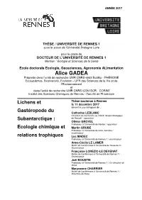 2017REN1B041.Pdf