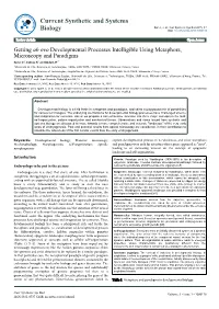 Getting Ab Ovo Developmental Processes Intelligible Using