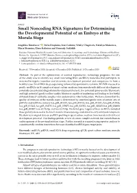 Small Noncoding RNA Signatures for Determining the Developmental Potential of an Embryo at the Morula Stage