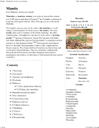 Mantis - Wikipedia, the Free Encyclopedia