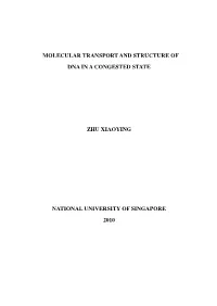 Molecular Transport and Structure of Dna in a Congested State