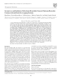 Serosurvey and Isolation of Infectious Bronchitis Virus in Chickens