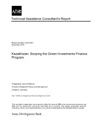 Technical Assistance Consultant's Report