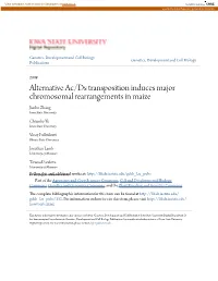 Alternative Ac/Ds Transposition Induces Major Chromosomal Rearrangements in Maize Jianbo Zhang Iowa State University