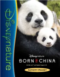 Born in China Activity Pack