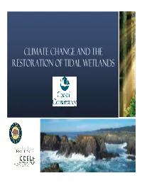 Climate Change and the Restoration of Tidal Wetlands