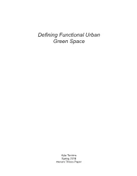 Defining Functional Urban Green Space