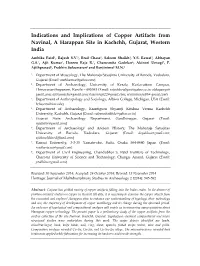Indications and Implications of Copper Artifacts from Navinal, a Harappan