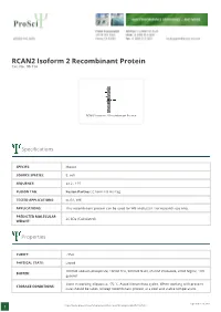 RCAN2 Isoform 2 Recombinant Protein Cat