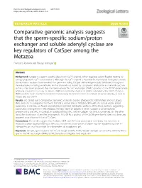 Comparative Genomic Analysis Suggests That the Sperm-Specific