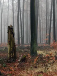 Sonian Forest – a Case from Brussels