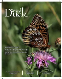 Summer Season Noteworthy Bird Records with Several Photos from Our Many Fine Photographers