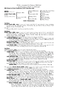 FOAL, the Property of Firebird Stud