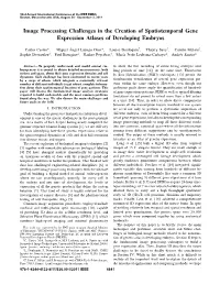 Image Processing Challenges in the Creation of Spatiotemporal Gene Expression Atlases of Developing Embryos