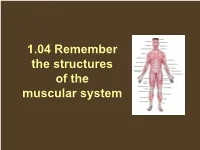 Muscular System Essential Question
