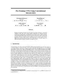Pre-Training Cnns Using Convolutional Autoencoders