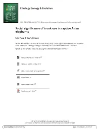Social Significance of Trunk Use in Captive Asian Elephants