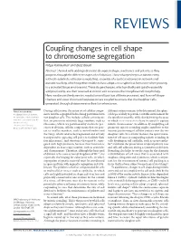 Coupling Changes in Cell Shape to Chromosome Segregation