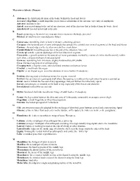 Macroinvertebrate Glossary a Abdomen