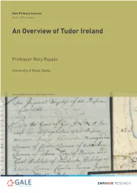 An Overview of Tudor Ireland