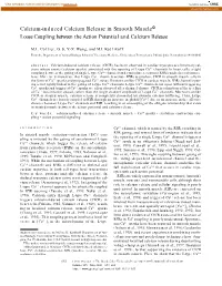 Calcium-Induced Calcium Release in Smooth Muscle7 Loose Coupling