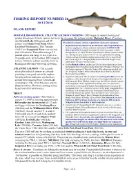 Fishing Report: 5/06/02, Number 3