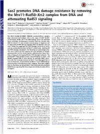 Sae2 Promotes DNA Damage Resistance by Removing the Mre11–Rad50–Xrs2 Complex from DNA and Attenuating Rad53 Signaling