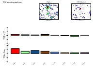 R Graphics Output