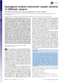 Dystroglycan Mediates Homeostatic Synaptic Plasticity at Gabaergic Synapses