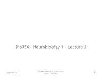 Evolution of Nervous Systems Bio334