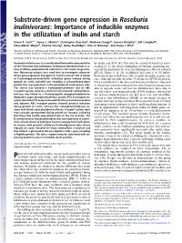 Importance of Inducible Enzymes in the Utilization of Inulin and Starch