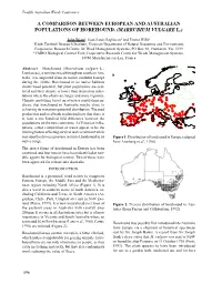 A Comparison Between European and Australian Populations of Horehound, (Marrubium Vulgare L.)