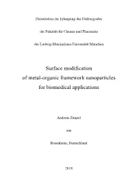 Surface Modification of Metal-Organic Framework Nanoparticles for Biomedical Applications