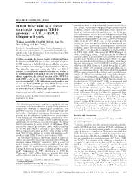 DDB1 Functions As a Linker to Recruit Receptor WD40 Proteins to CUL4− ROC1 Ubiquitin Ligases
