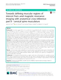 Towards Defining Muscular Regions of Interest from Axial Magnetic Resonance Imaging with Anatomical Cross-Reference: Part II - Cervical Spine Musculature James M