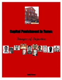 Web Dp Report