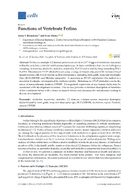 Functions of Vertebrate Ferlins