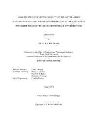 Identifying Immigration to the Maya Site of T