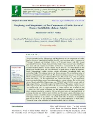 Morphology and Morphometry of Few Components of Limbic System of Brain of Surti Buffalo (Bubalus Bubalis)