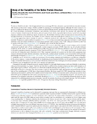 Study of the Variability of the Native Protein Structure